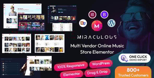 Miraculous Elementor copy.__large_preview.jpg
