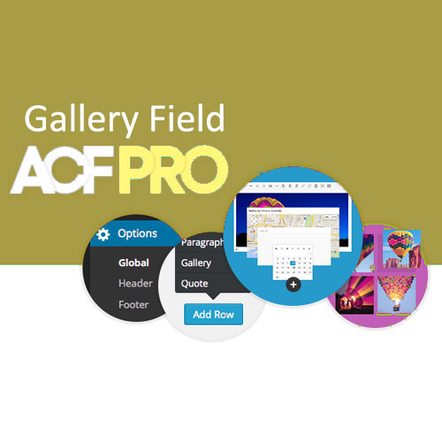 res_img_1746225596_b73fbcc9_advanced-custom-fields-gallery-field-addon.jpg