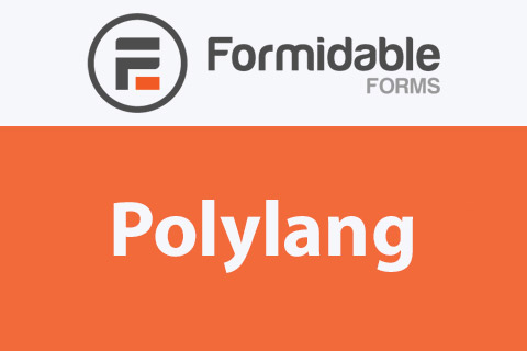 res_img_1747070005_b98d4607_formidable-polylang_1.jpg