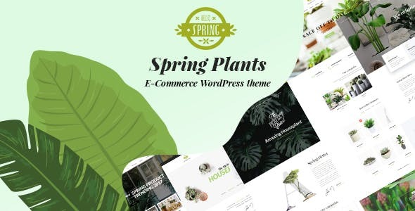 spring-plant-large-preview.__large_preview.jpg